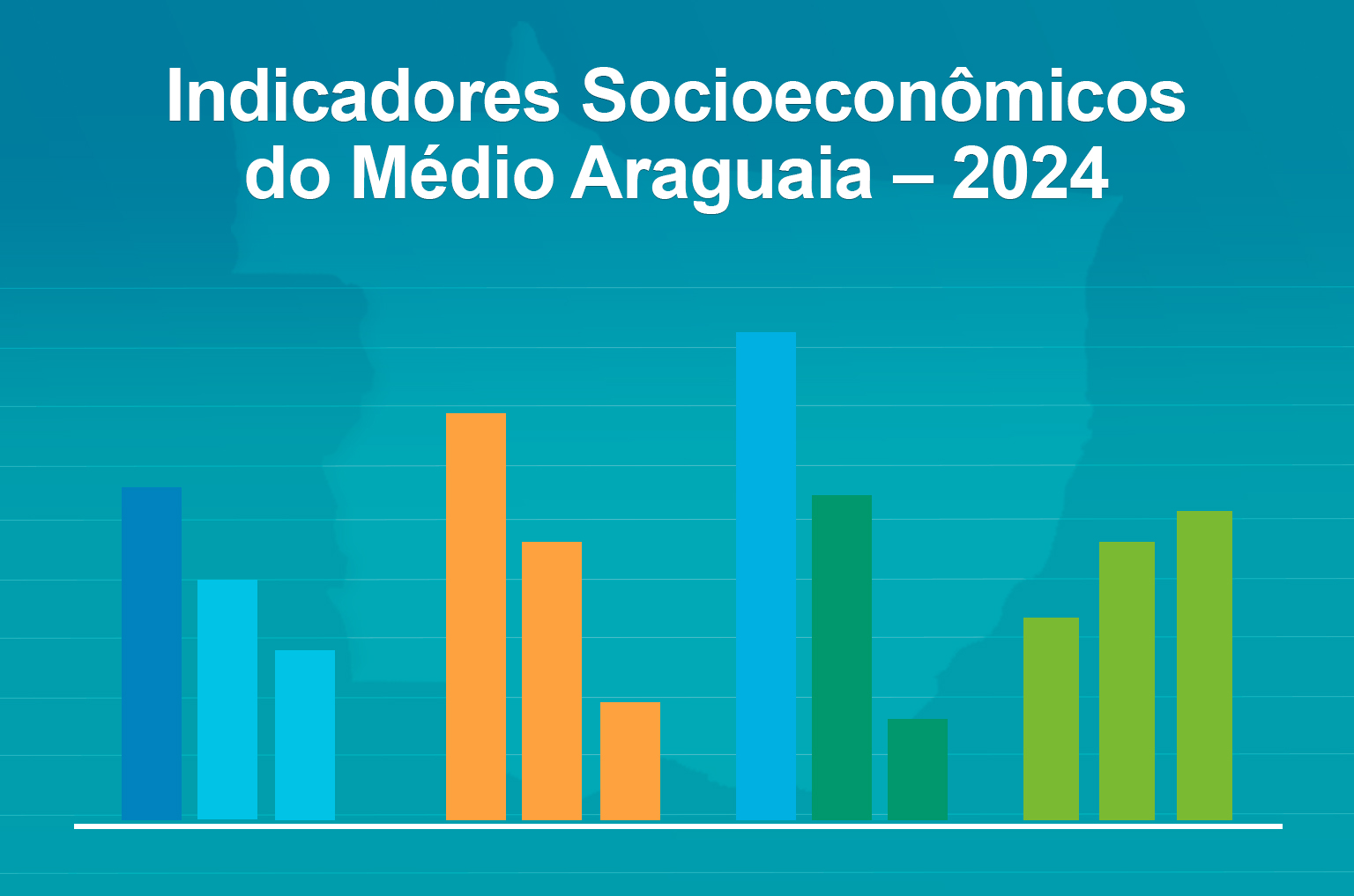 CAPA INDICADORES