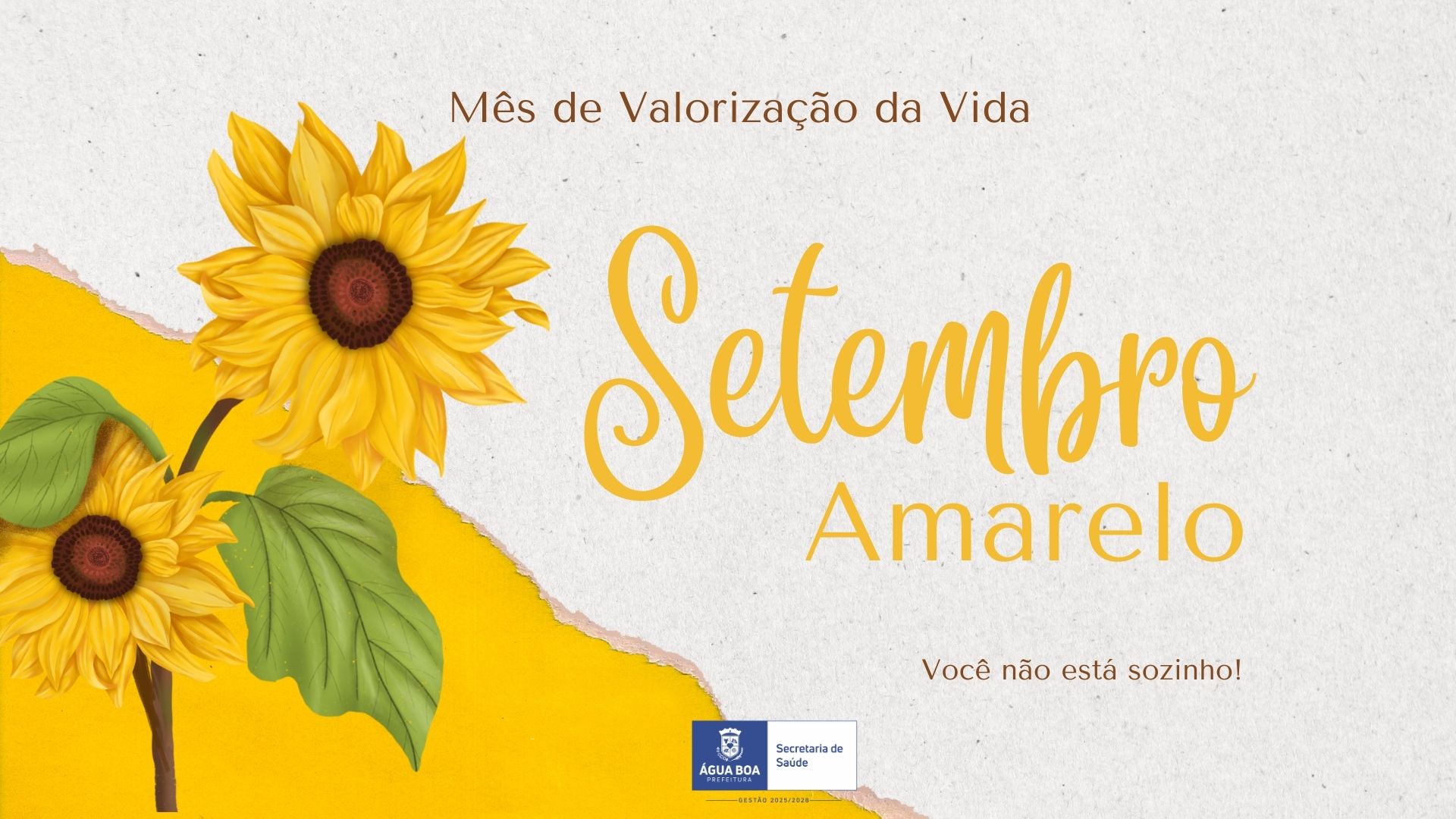 setembro amarelo agua boa psicologos