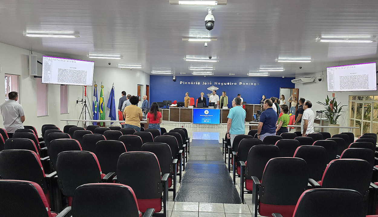 plenario 02.02
